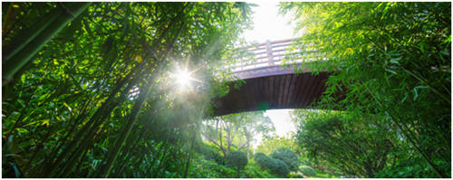 1466737362163537.jpg 3-01.jpg