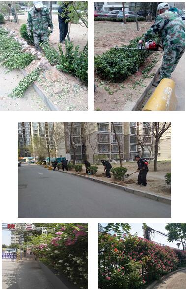 QQ截图20180518163711.jpg